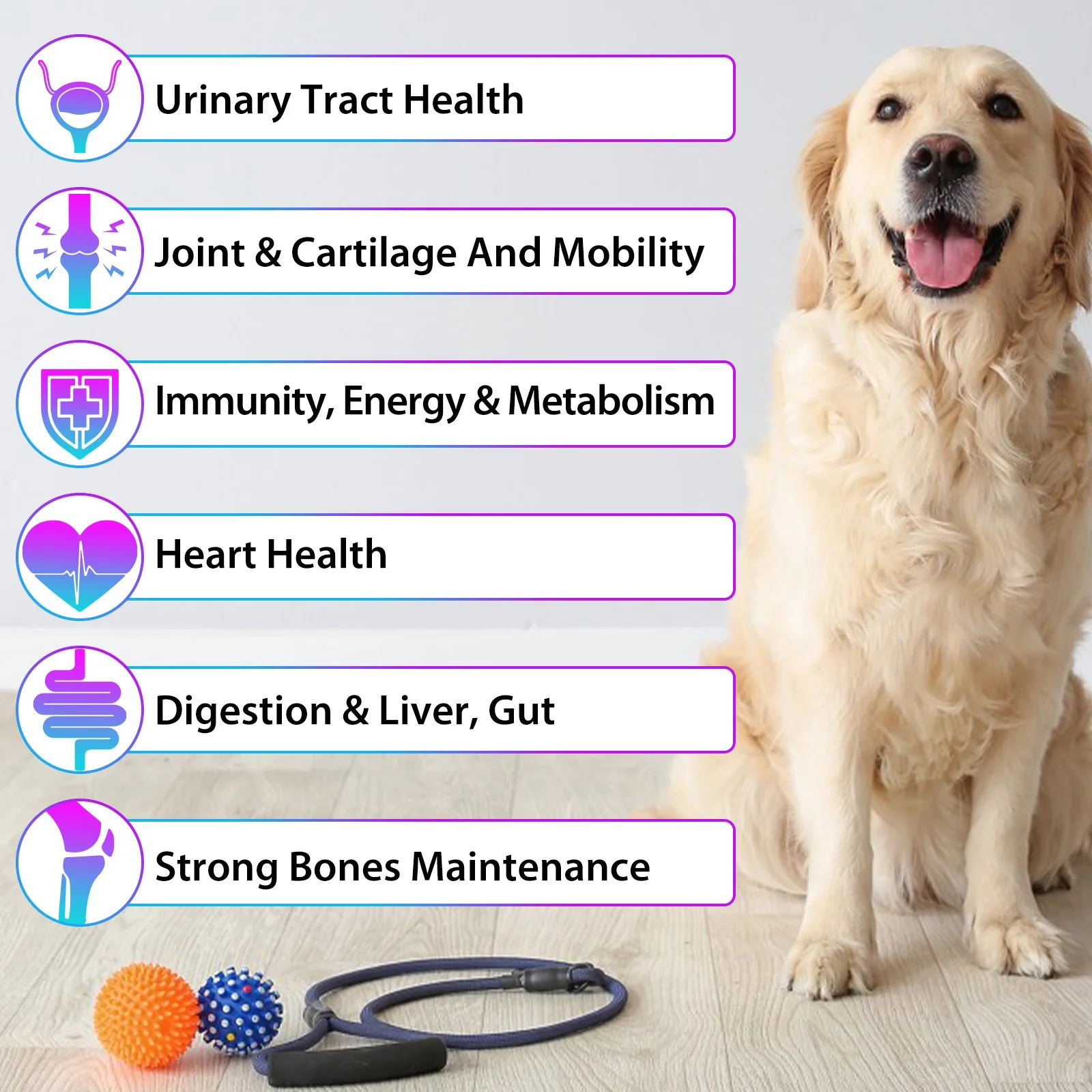 15 in 1 Multivitamin for Dog Helps with Immune System