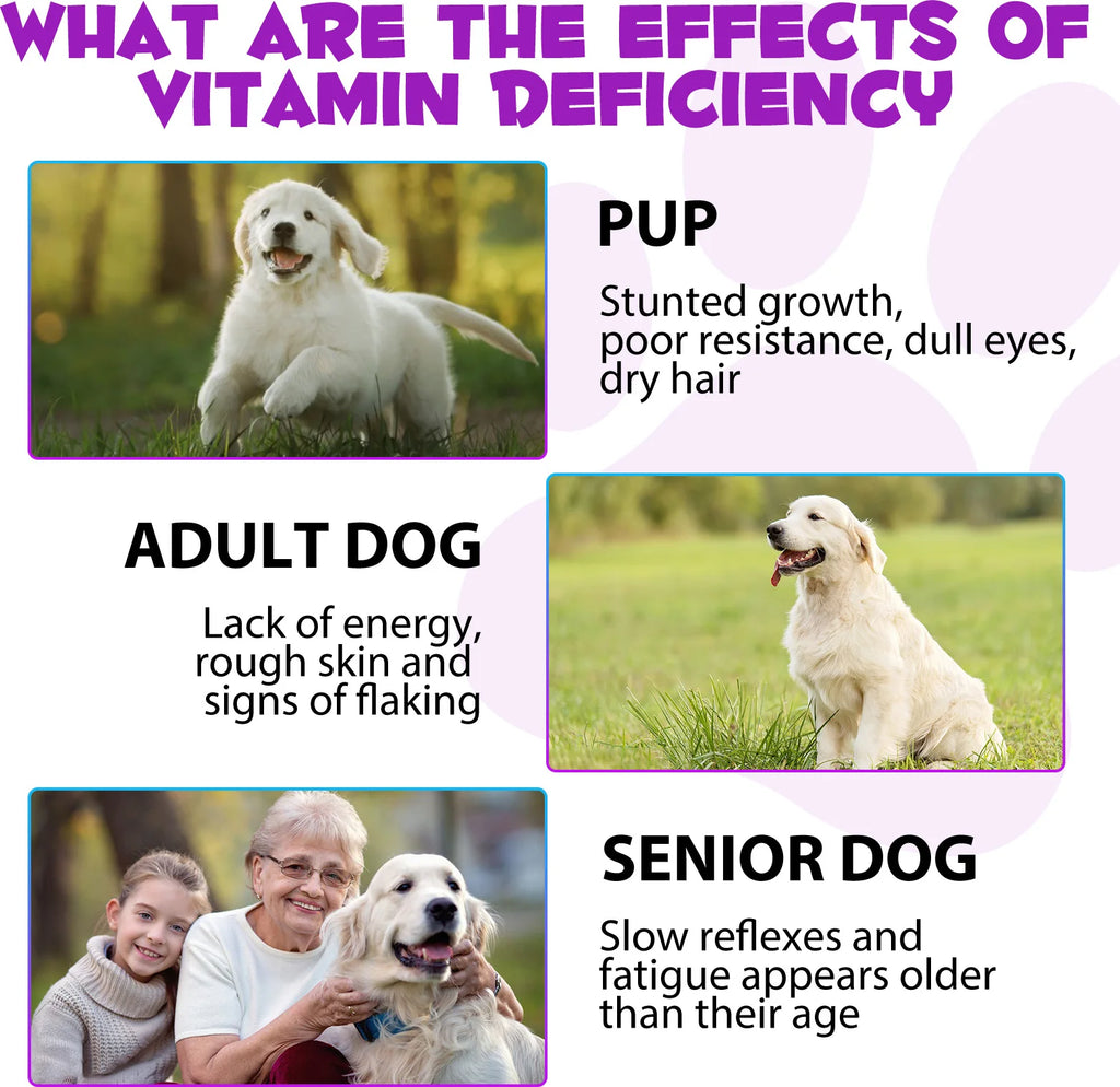15 in 1 Multivitamin for Dog Helps with Immune System