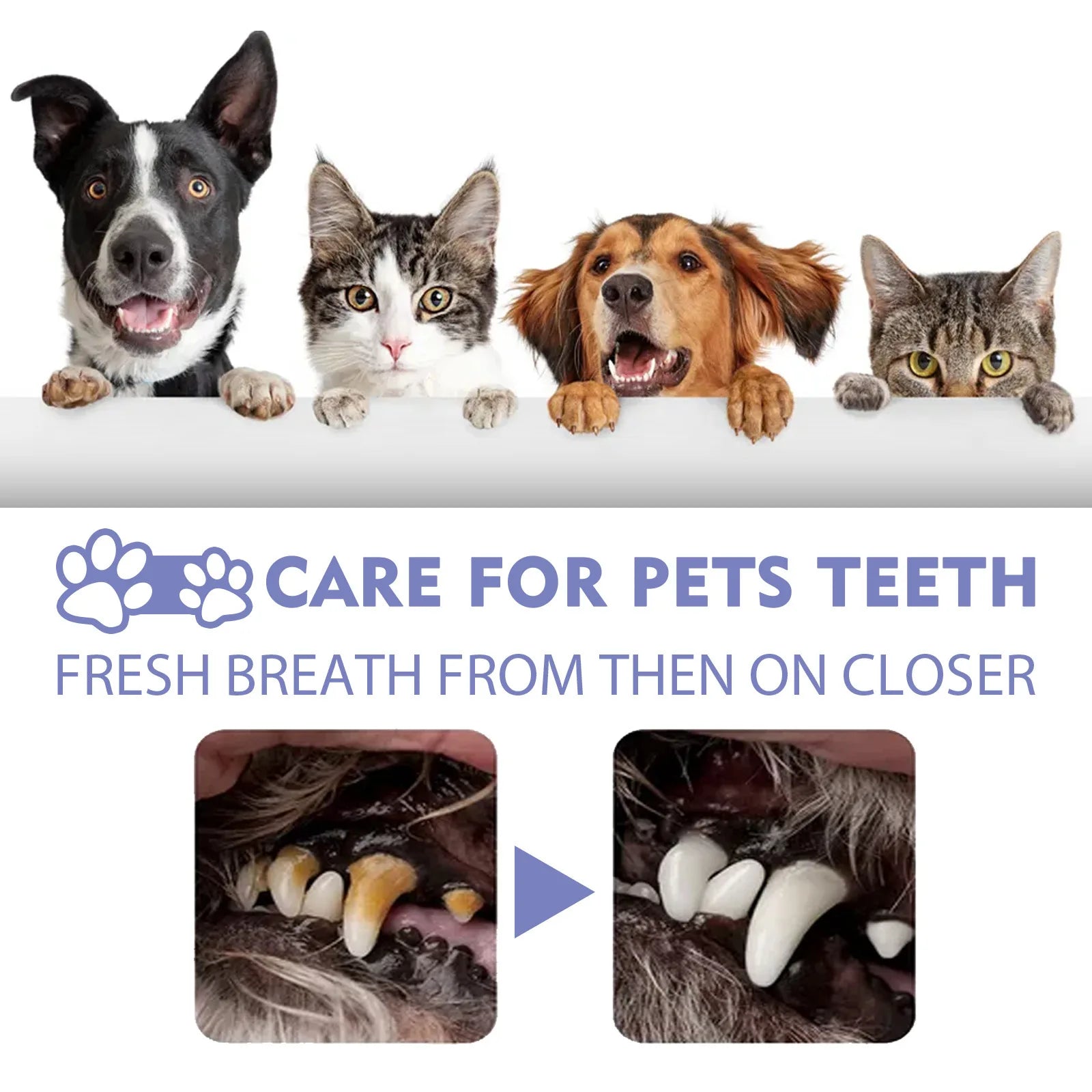 Yegbong 30ml Pet Teeth Cleaning Spray Cats Dogs Whitening Remove Bad Breath Tooth Stains Calculus Deodorant Pet Oral Care Spray