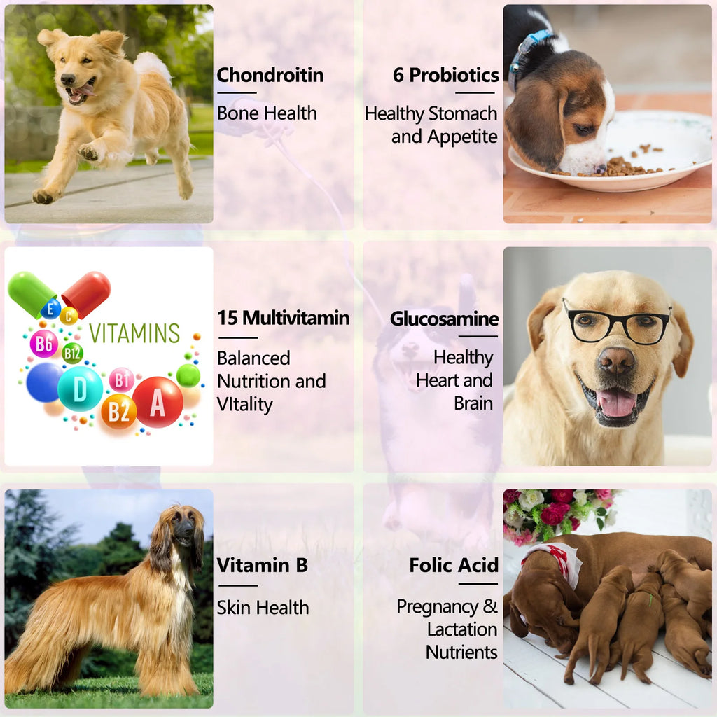 15 in 1 Multivitamin for Dog Helps with Immune System