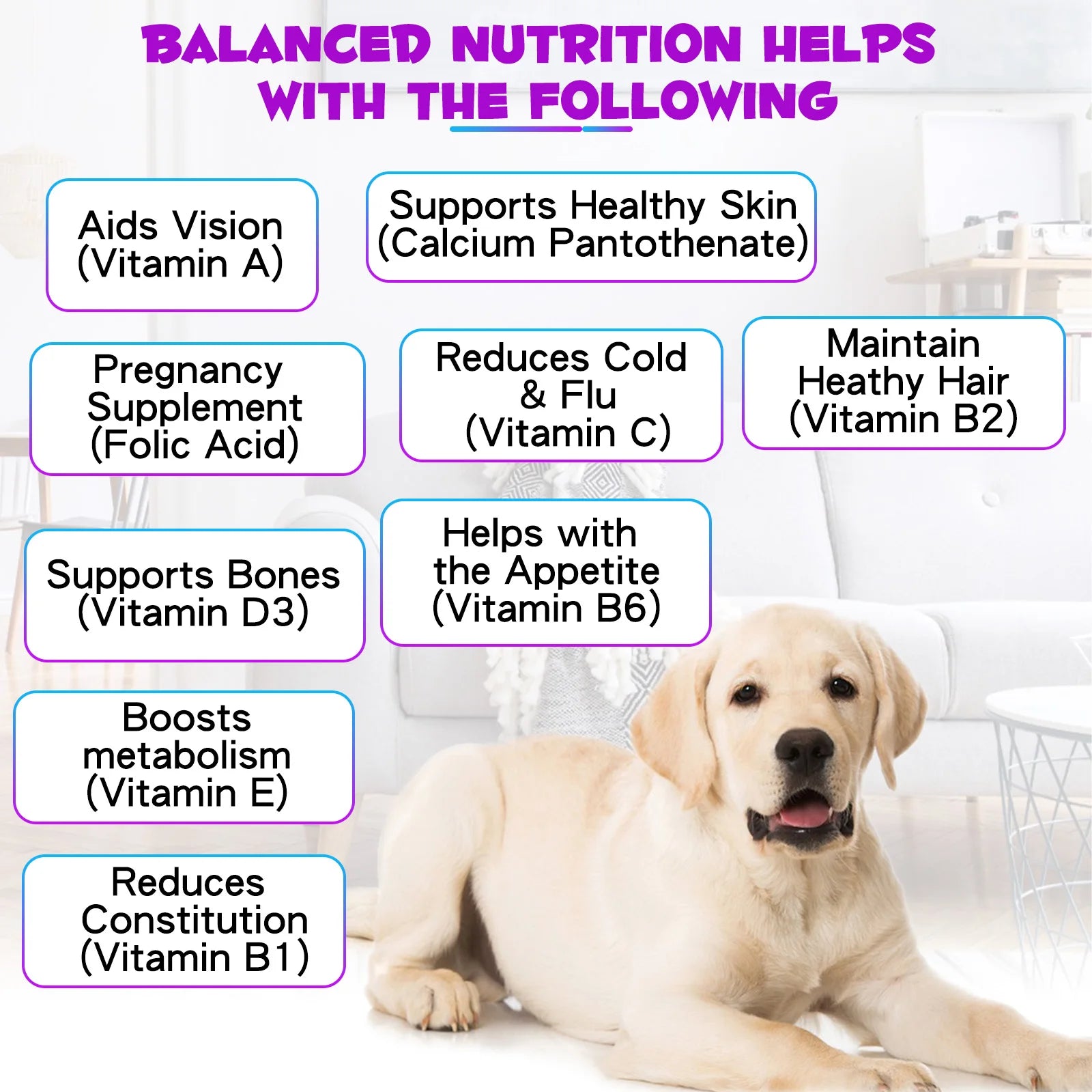 15 in 1 Multivitamin for Dog Helps with Immune System
