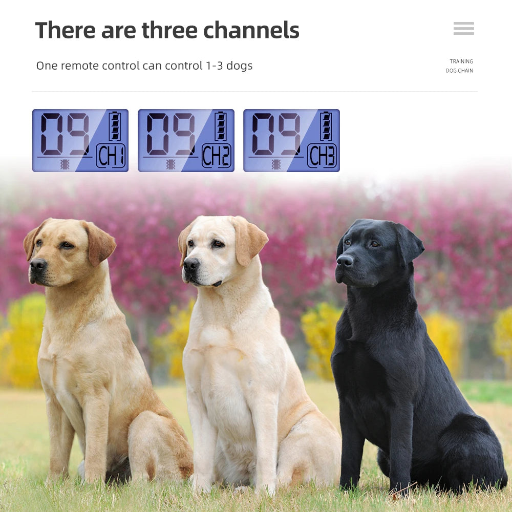 800m Dog Training Collar Waterproof Pet Remote Control Collar With Shock Vibration Sound