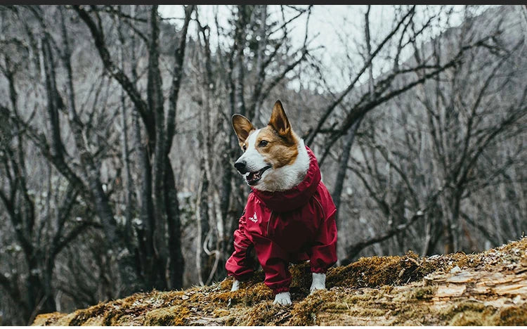 Pet Dog Coat Outdoor Jacket Pet Waterproof Winter Warm Clothes Big Jumpsuit Reflective