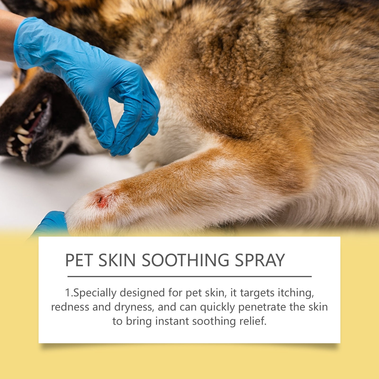 Pet Skin Care Spray Relieve Discomfort for Dogs Cat Flea Lice Control