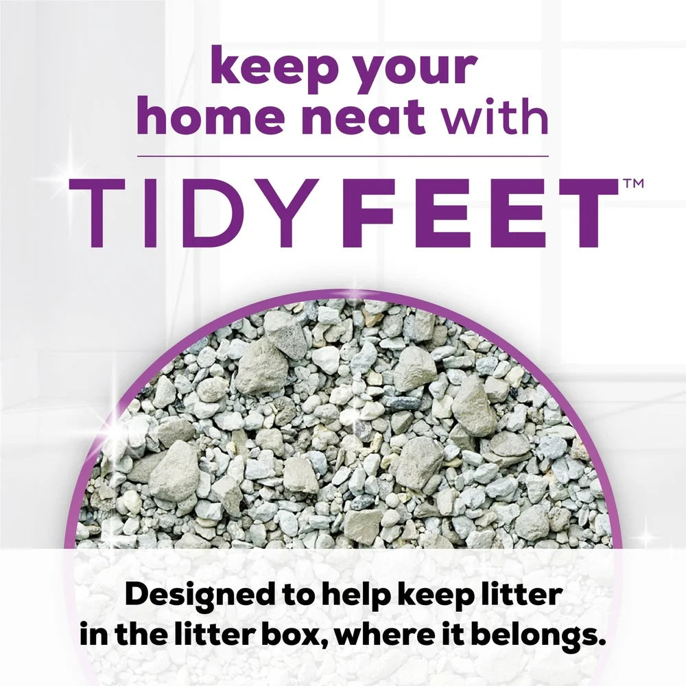 Clumping Cat Litter Low Dust 14 Day Odor Control Easy Scoop 20 lb Jug Ideal Multiple Cats