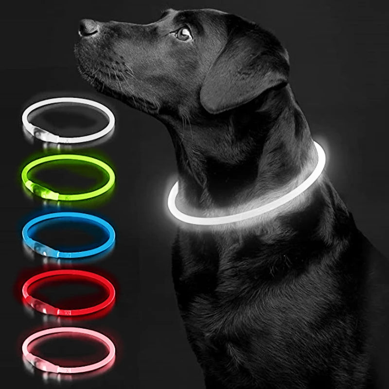 Luminous Dog Collar Light Charge Cat Necklace, Led Fashion Flashing DIY