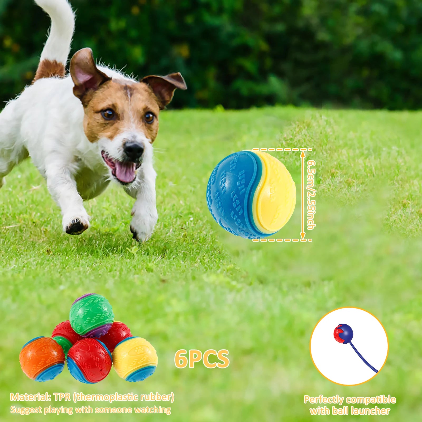 6Pcs Squeaky Balls Toys Dogs Interactive Toys TPR Dog Chew Toy for Dog