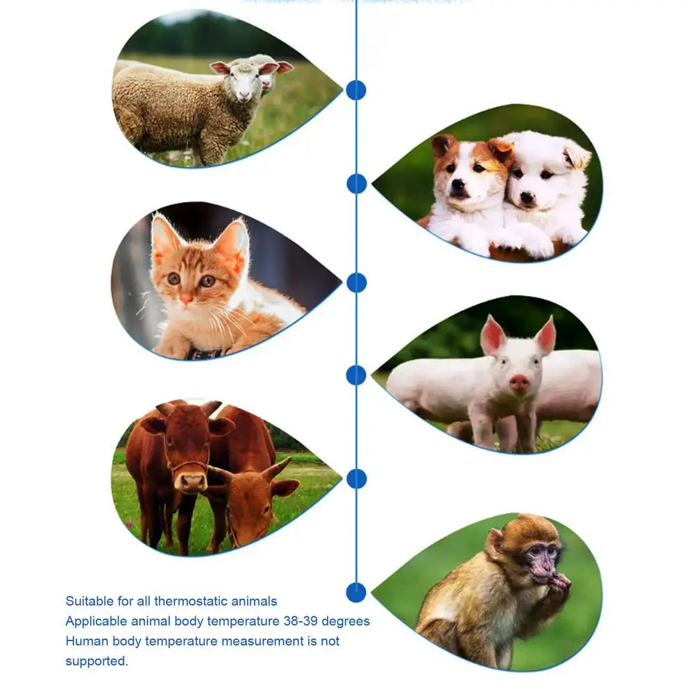 Dog Ear Thermometers Pet Supplies For Dog Accurate Fever Detection Device For Pet Pet Supplies