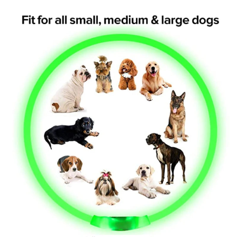 Luminous Dog Collar Light Charge Cat Necklace, Led Fashion Flashing DIY