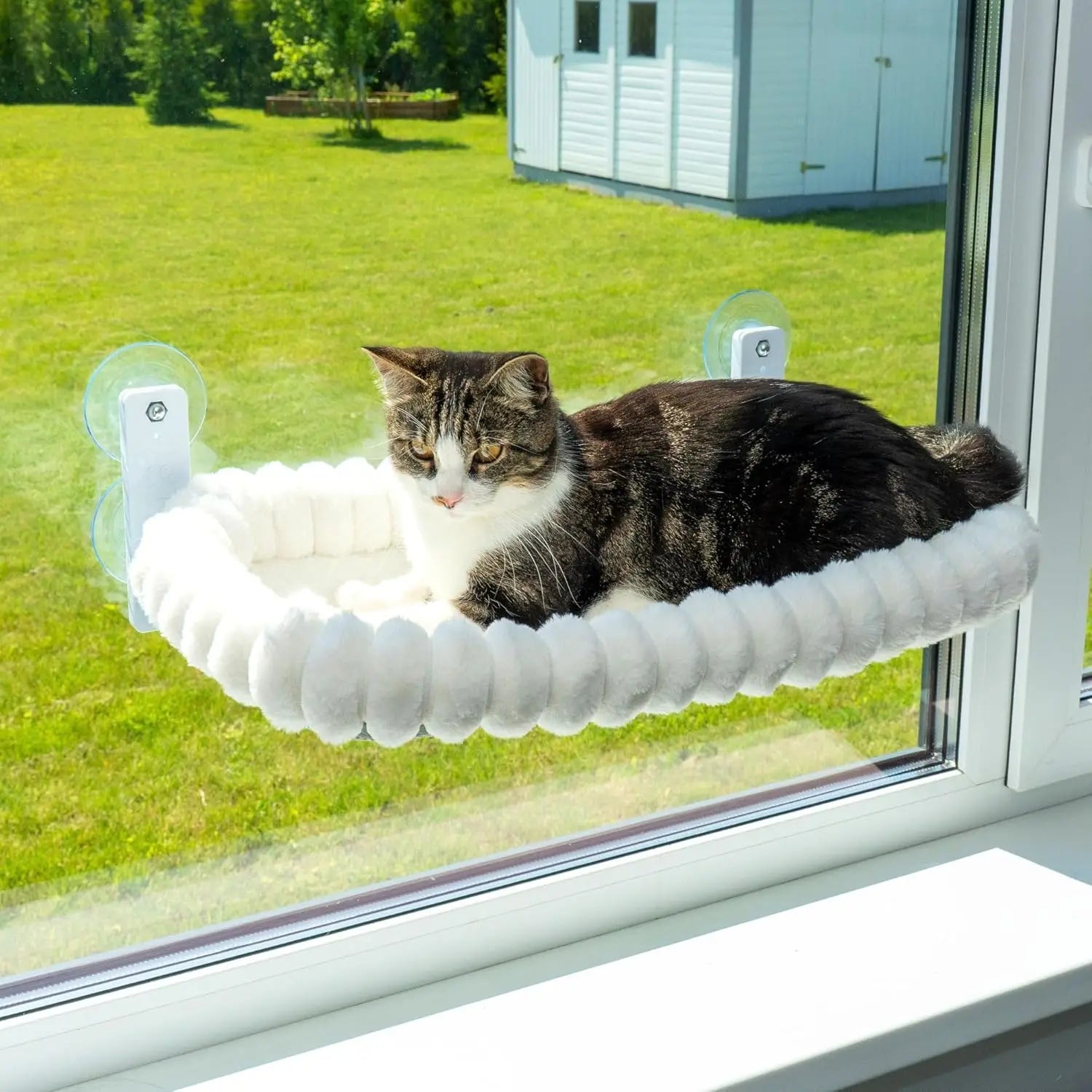 Winter Cat Hammock Window Habitat Cat Sunbathing Glass Hanging Suction Cup