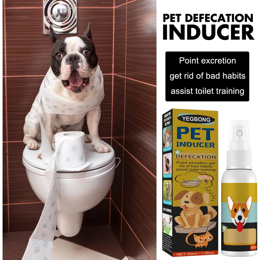 Dog Potty Training Spray Cats Kitten Outdoor Urine Poops