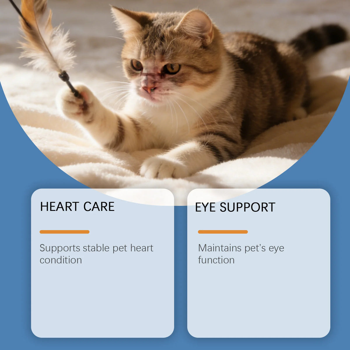 All-in-One Cat Health Powder Taurine & Multivitamin Supplement for Heart Vision Immunity Daily Dose for Kittens Adult Old Cats