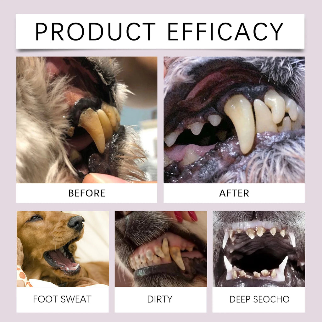 Pet toothbrush pen dog cat tartar calculus cleaning deodorant deodorant teeth cleaning pen