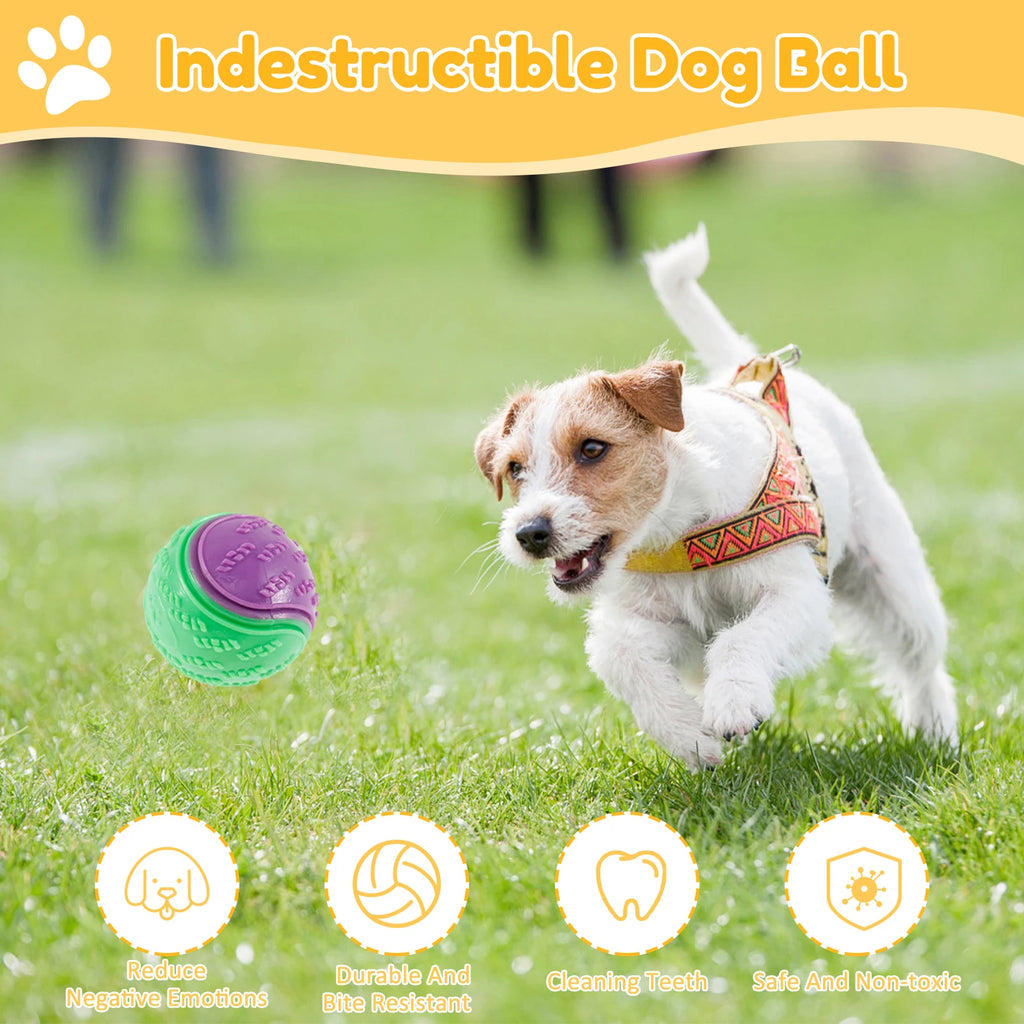 6Pcs Squeaky Balls Toys Dogs Interactive Toys TPR Dog Chew Toy for Dog