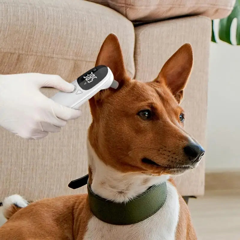 Dog Ear Thermometers Pet Supplies For Dog Accurate Fever Detection Device For Pet Pet Supplies