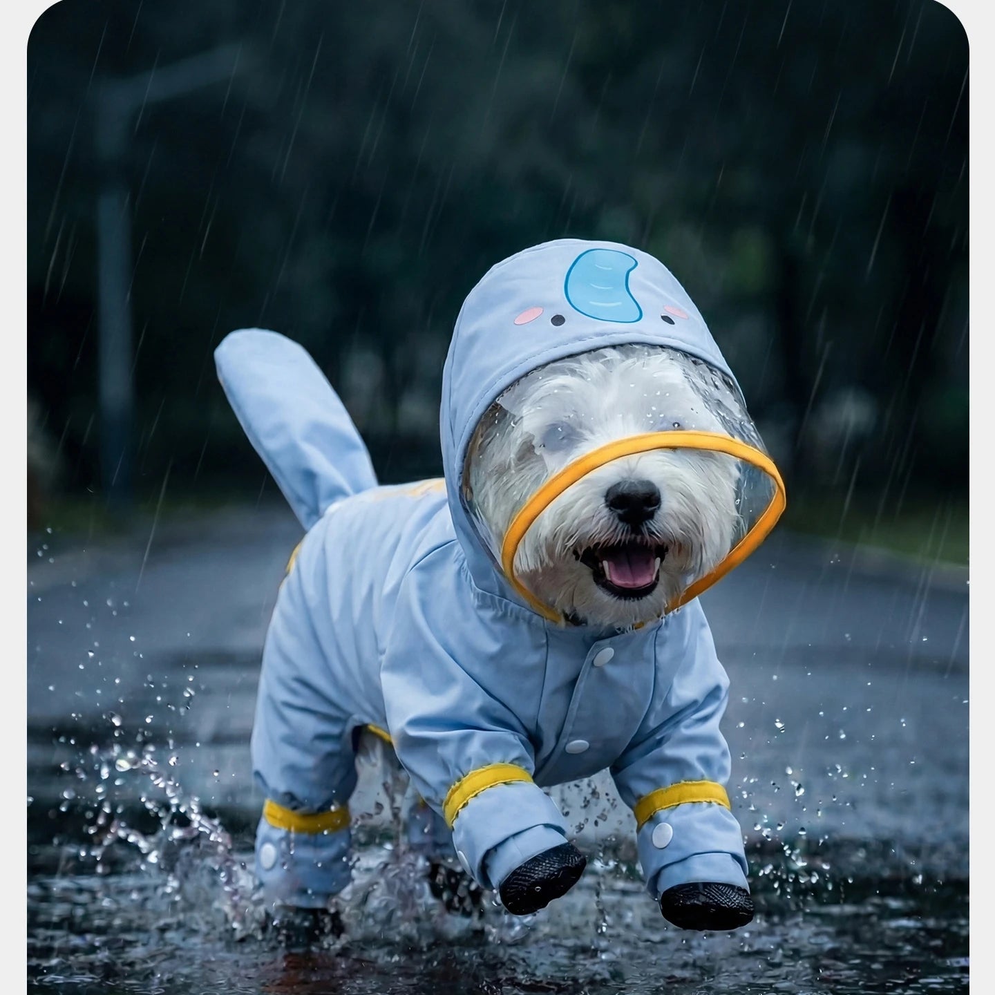 Orange Carrot Dog Raincoat Four Legged Waterproof All Inclusive Clothing Summer Rainy Day