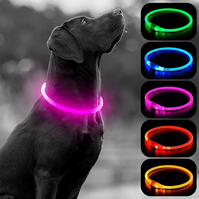 Luminous Dog Collar Light Charge Cat Necklace, Led Fashion Flashing DIY