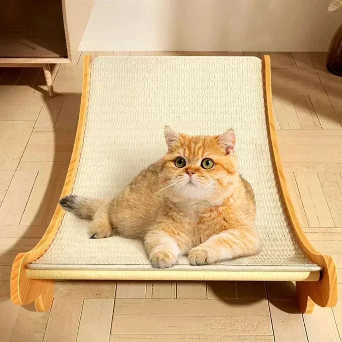 Cat Scratching Pad