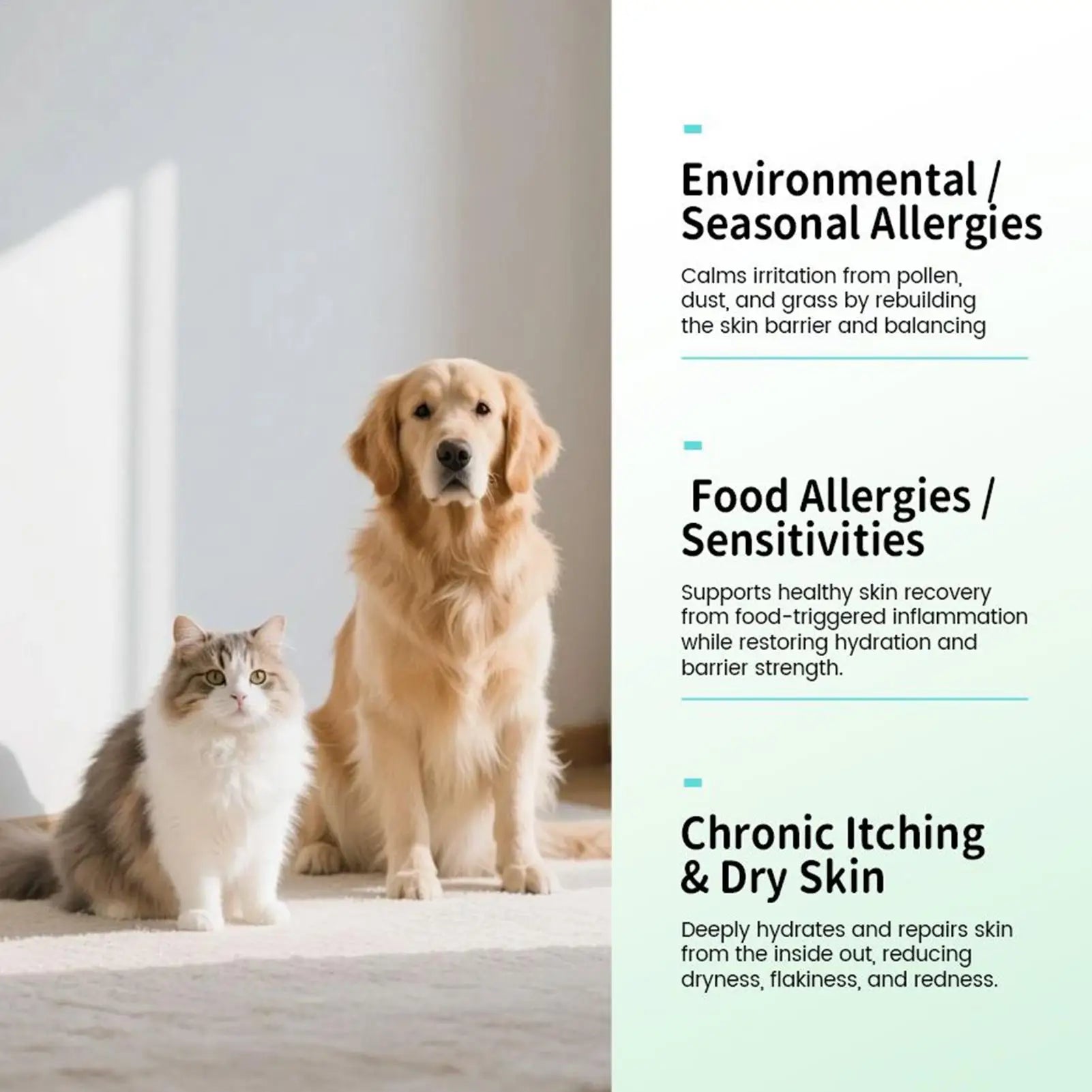 60ml Dog Itch Relief Spray Natural Soothing Oil Anti Itch for Small Large Breeds