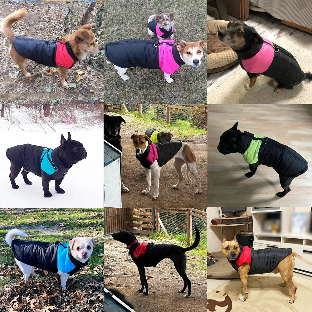 Pet Dog Jacket Warm Winter Clothes For Small Large Dogs Labrador
