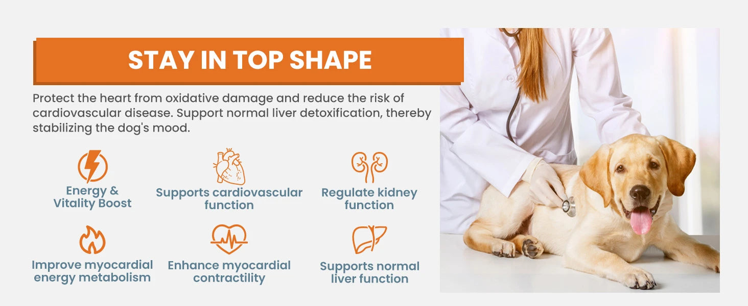 24-in-1 Dog Multivitamins Chew 200 Count Dog Vitamins Supplements
