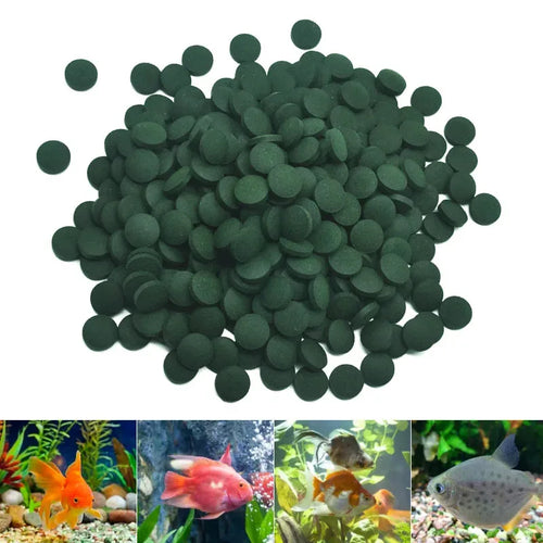 50-500pcs High Purity Spirulina Tablets Spiral Seaweed Enrichment Favorite Pets Food Fish Crystal Red Shrimp Fish Food Aquarium