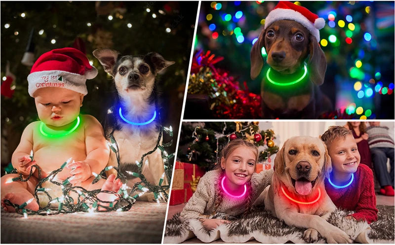 Luminous Dog Collar Light Charge Cat Necklace, Led Fashion Flashing DIY