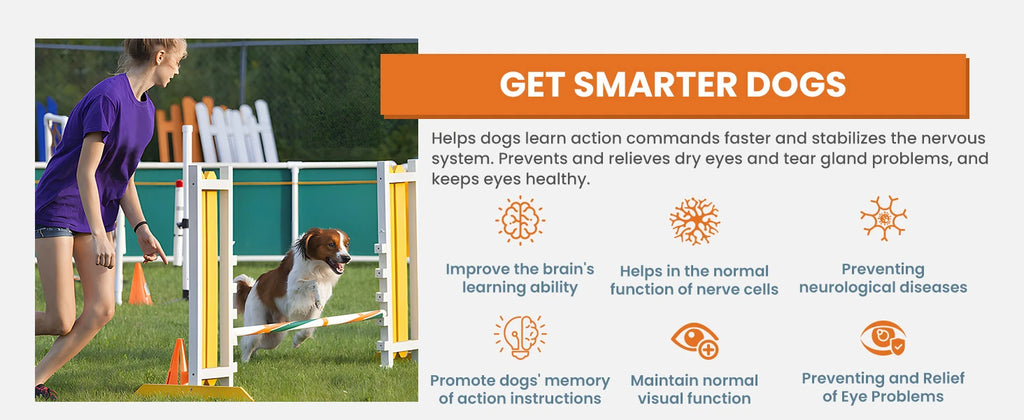 24-in-1 Dog Multivitamins Chew 200 Count Dog Vitamins Supplements