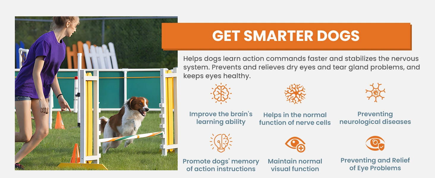 24-in-1 Dog Multivitamins Chew 200 Count Dog Vitamins Supplements