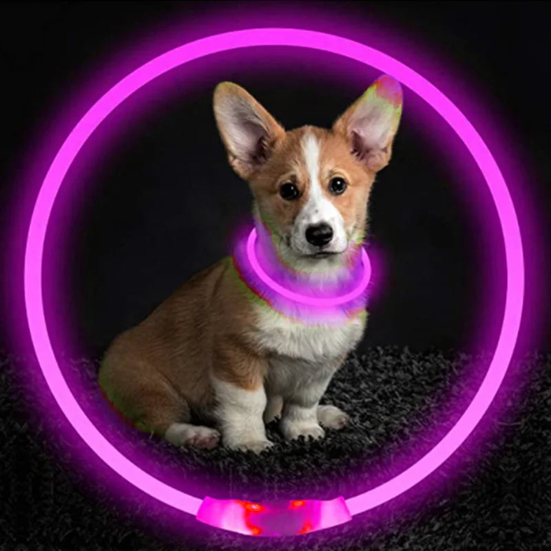 Luminous Dog Collar Light Charge Cat Necklace, Led Fashion Flashing DIY