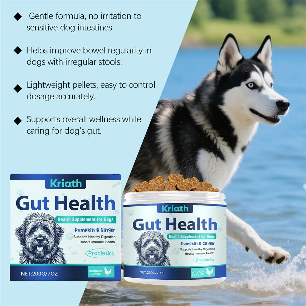 200g Formula Gut Health Supplement for Dogs Formulated Probiotic Chews
