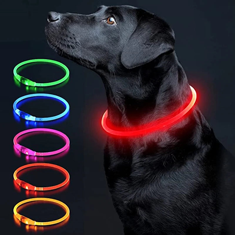 Luminous Dog Collar Light Charge Cat Necklace, Led Fashion Flashing DIY