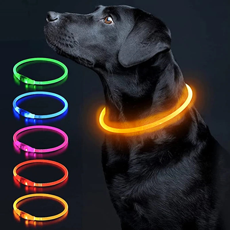 Luminous Dog Collar Light Charge Cat Necklace, Led Fashion Flashing DIY