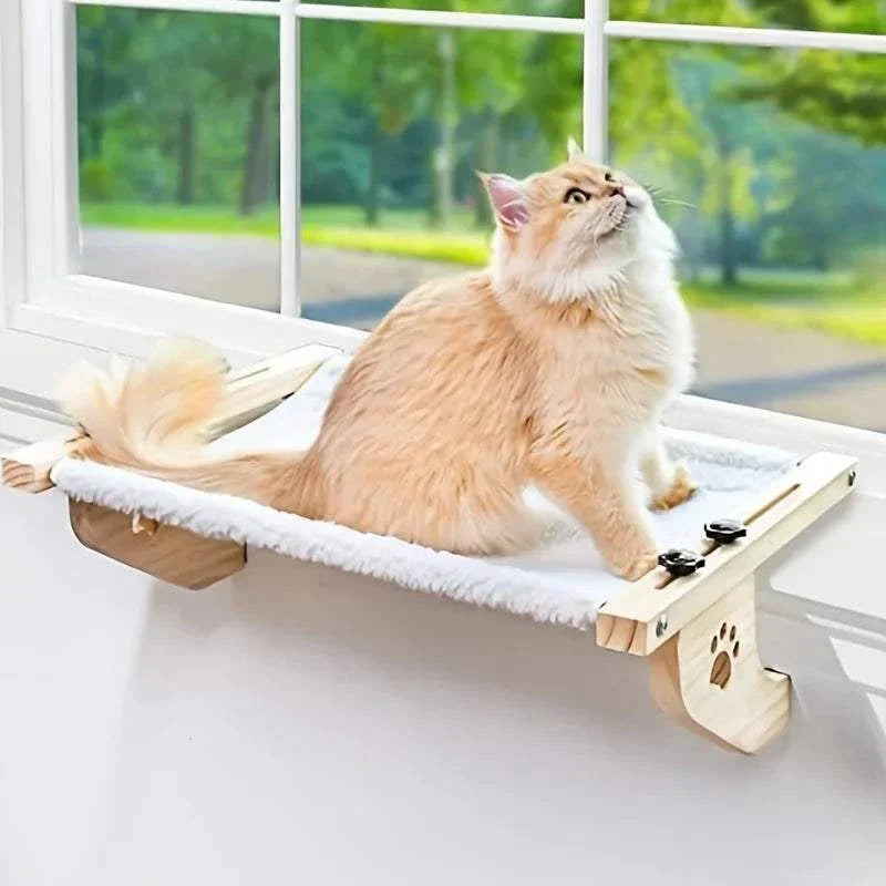 Cat window sill