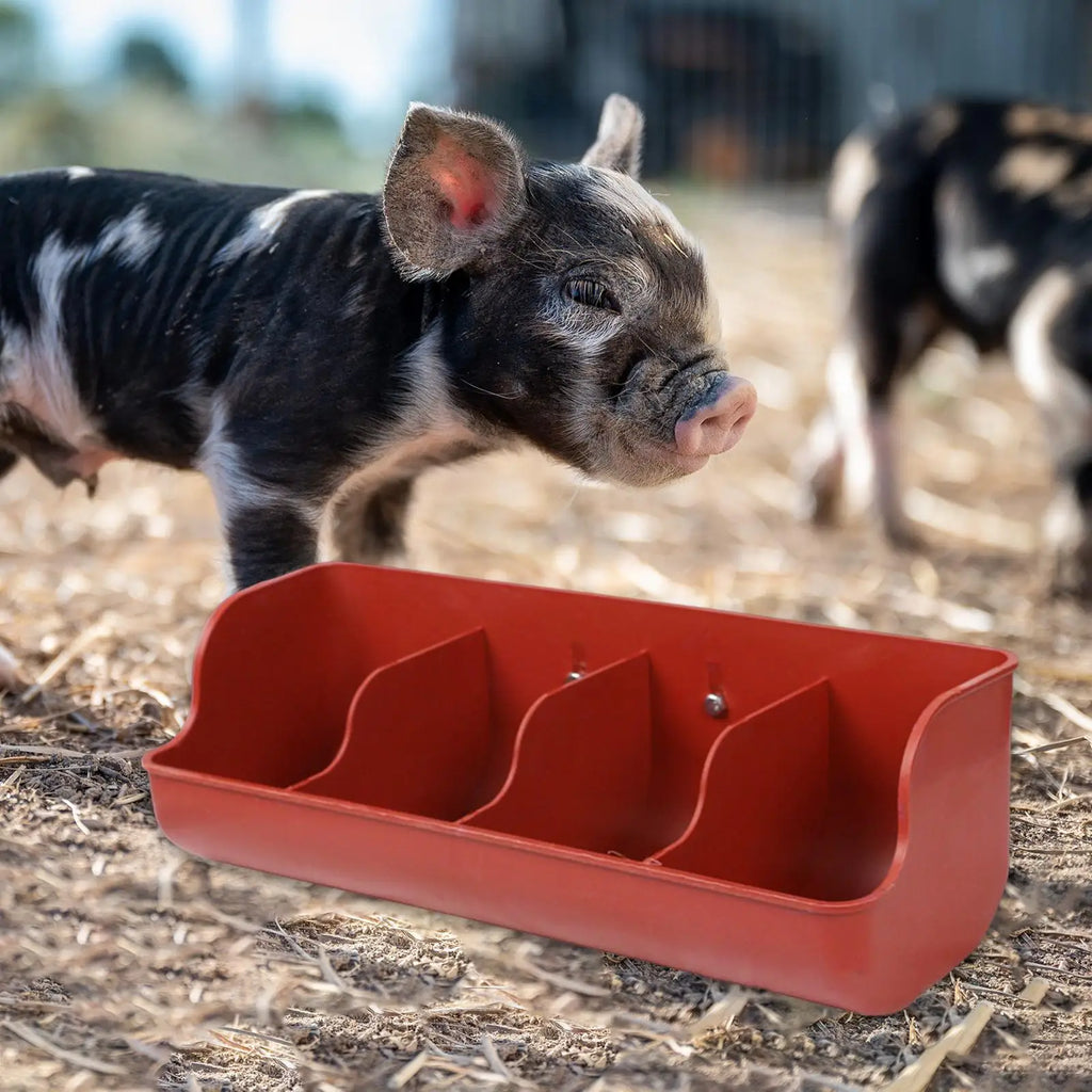 Piglet Fodder Slot Farm Animal Supplies Livestock Fodder Dish Feeding Bowl