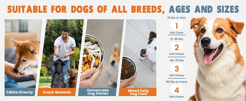 24-in-1 Dog Multivitamins Chew 200 Count Dog Vitamins Supplements
