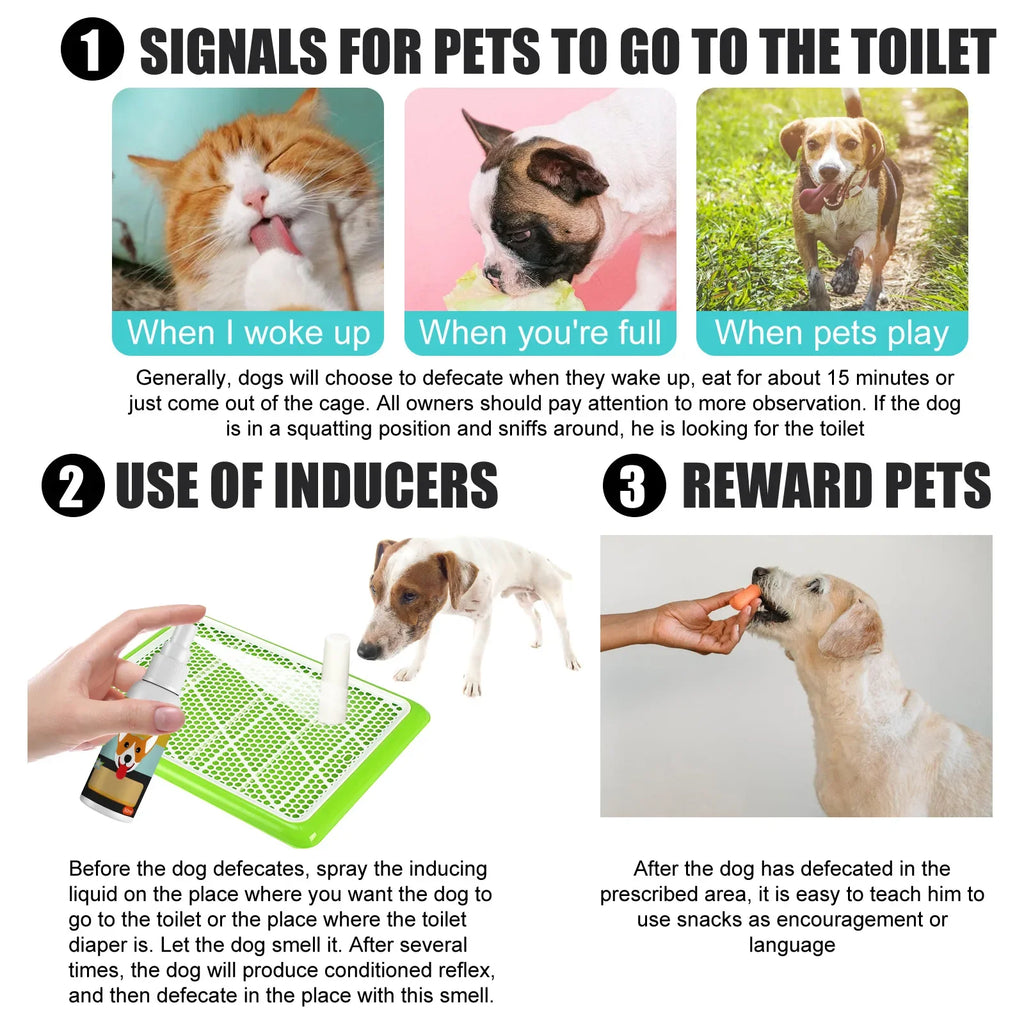 Dog Potty Training Spray Cats Kitten Outdoor Urine Poops