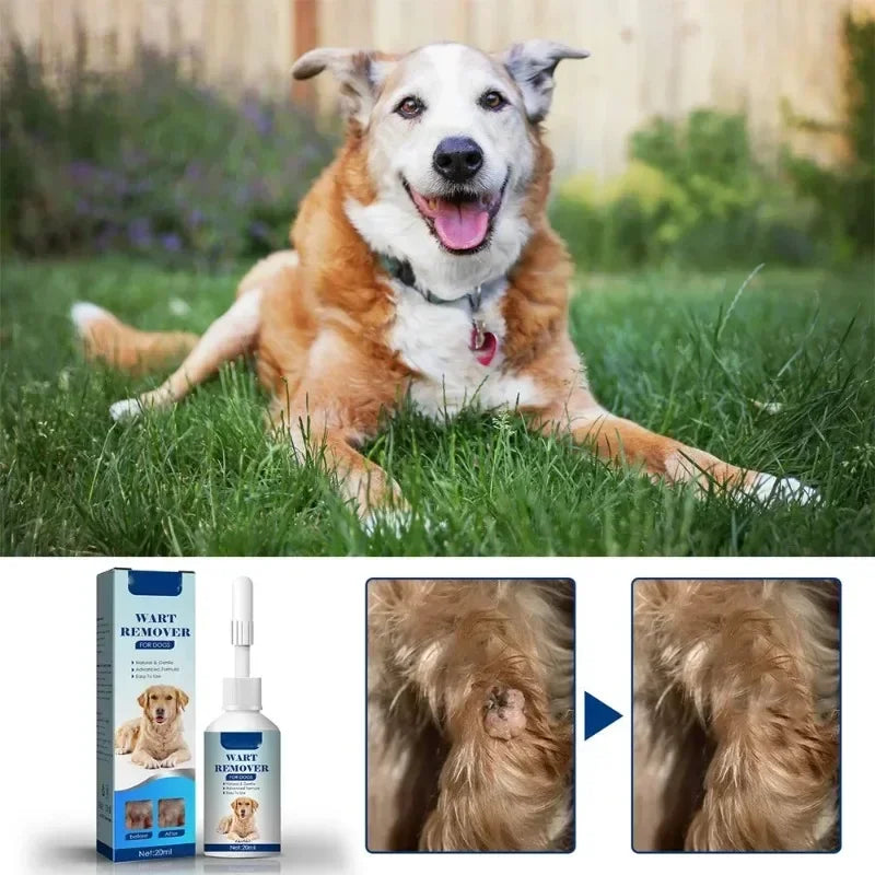 Pet Skin Care Liquid Gentle Nourishing Soothing Pet Grooming Supplies for Dogs Cats All Breeds