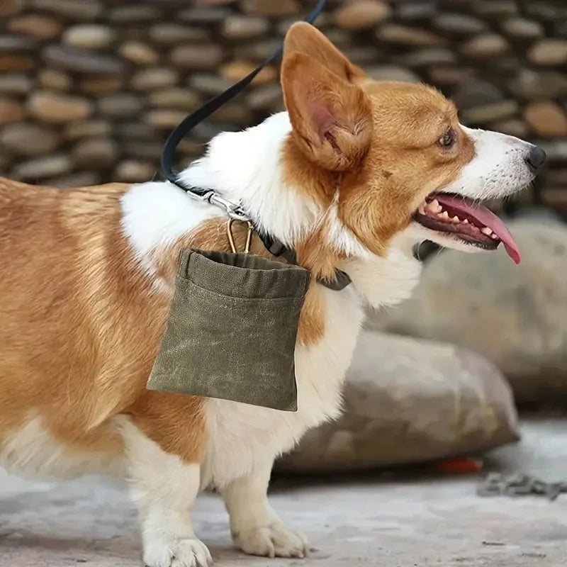 Dog Training Snack Bag Outdoor Travel Dog Food Storage Container