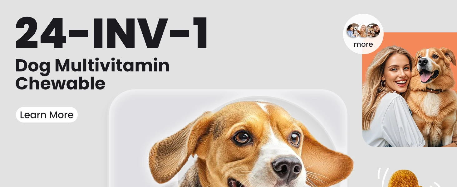 24-in-1 Dog Multivitamins Chew 200 Count Dog Vitamins Supplements