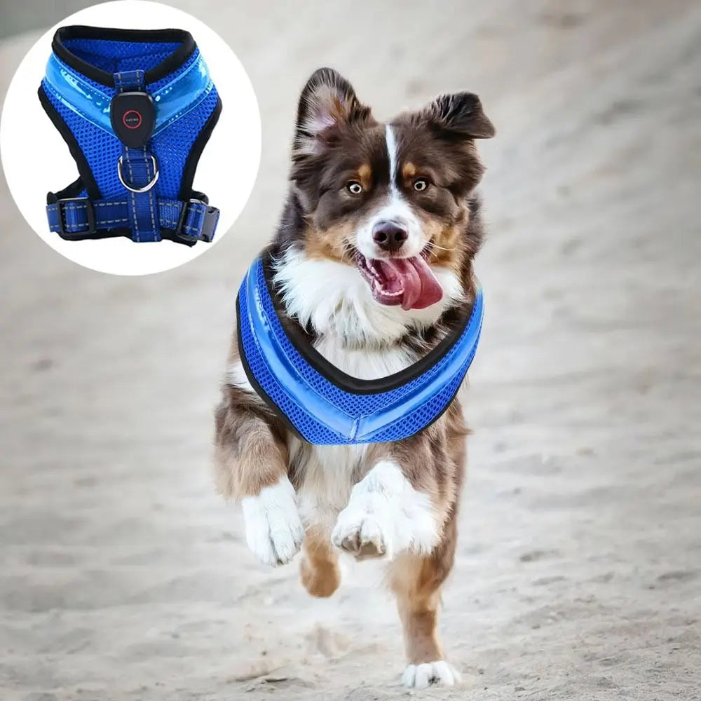 Pet Dog Supplies Luminous Pet LED Harness Rechargeable Breathable