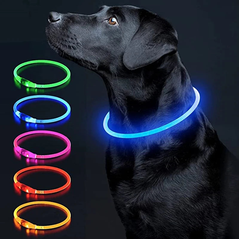 Luminous Dog Collar Light Charge Cat Necklace, Led Fashion Flashing DIY