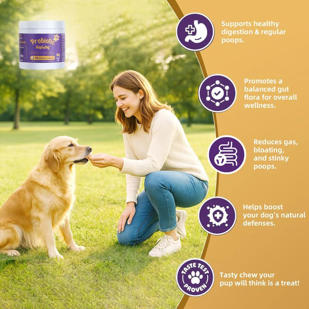 Probiotics Supplements for Dogs 90 Count Digestive Enzymes