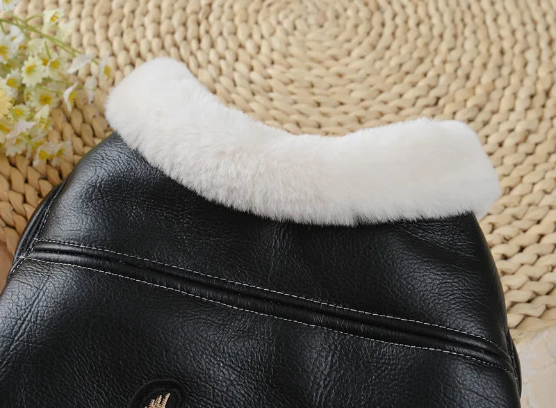 Winter Dog Clothes Pet Dog Plus Velvet Warm Thickening Leather Coat Jacket