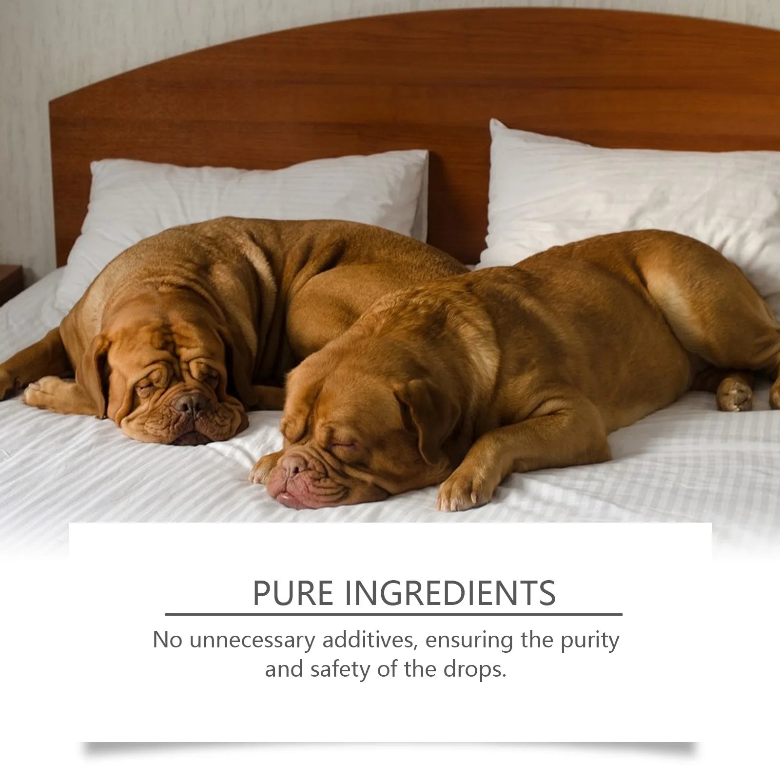 YEGBONG Dog Sleep Support Drops Reduce Anxiety Night Sedation