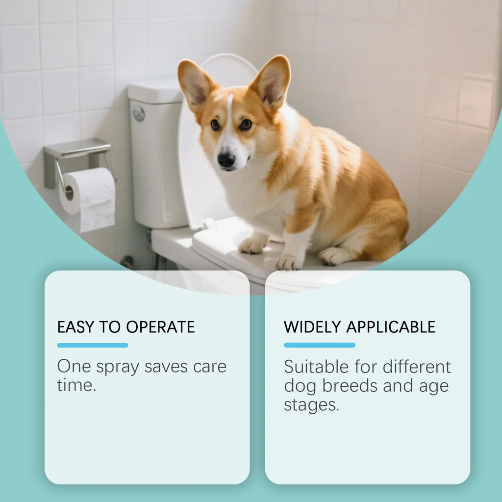 Pet Potty Training Spray Dog Attractant Puppy Behavior Training Potty Training Aid