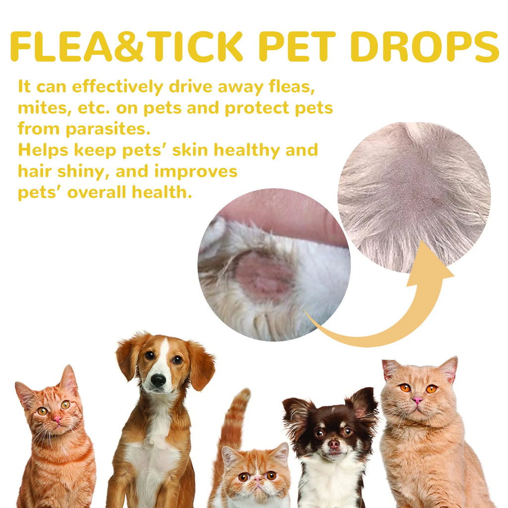 Cat Anti Flea Drops Flea Lice Remove Relieve Skin Itching External Insect Repellent