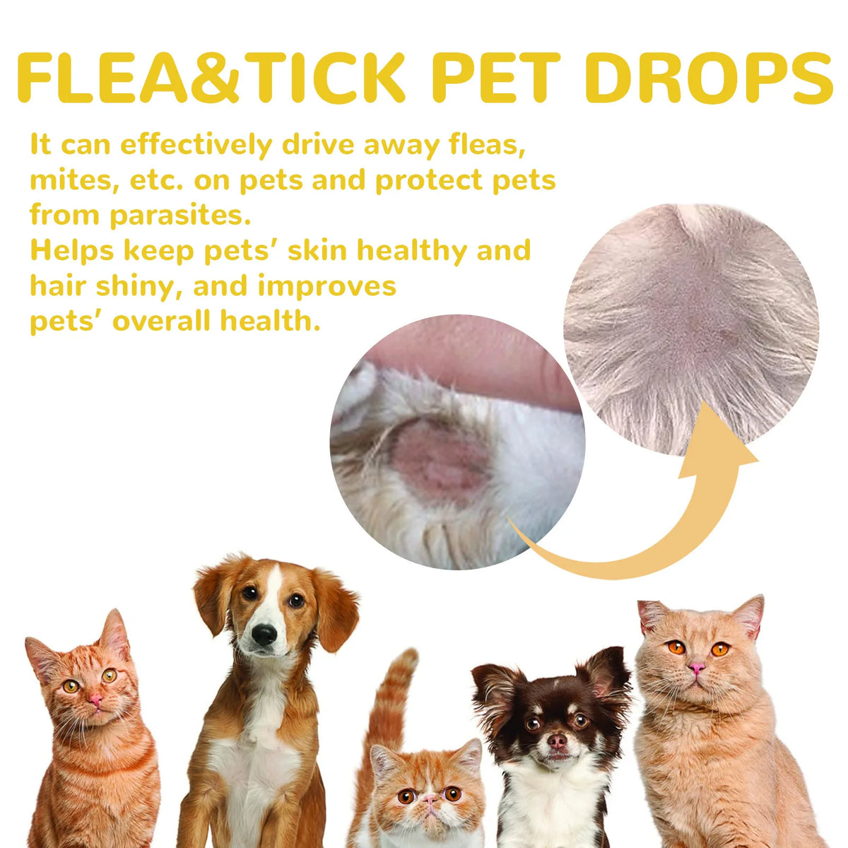 Cat Anti Flea Drops Flea Lice Remove Relieve Skin Itching External Insect Repellent