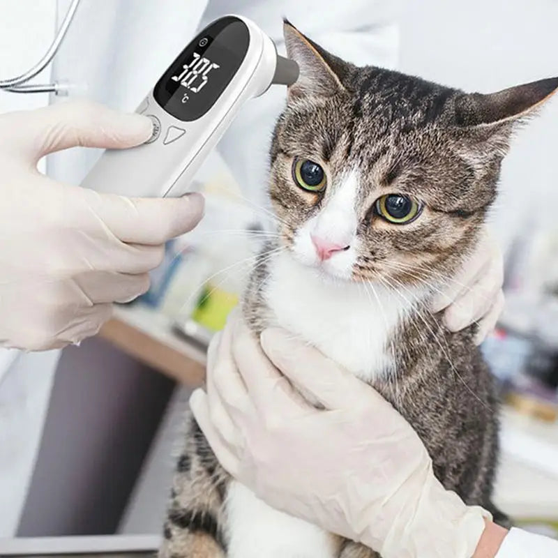 Dog Ear Thermometers Pet Supplies For Dog Accurate Fever Detection Device For Pet Pet Supplies