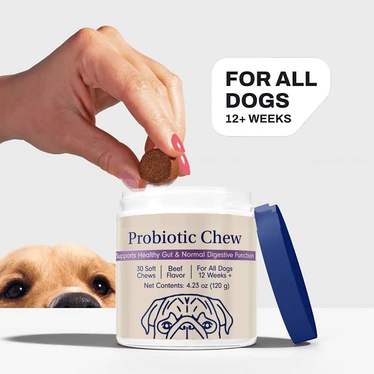 Dog Probiotics Chews - Dog Probiotics for Gut Health
